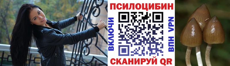 даркнет сайт  Гуково  маркетплейс как зайти  Псилоцибиновые грибы ЛСД 