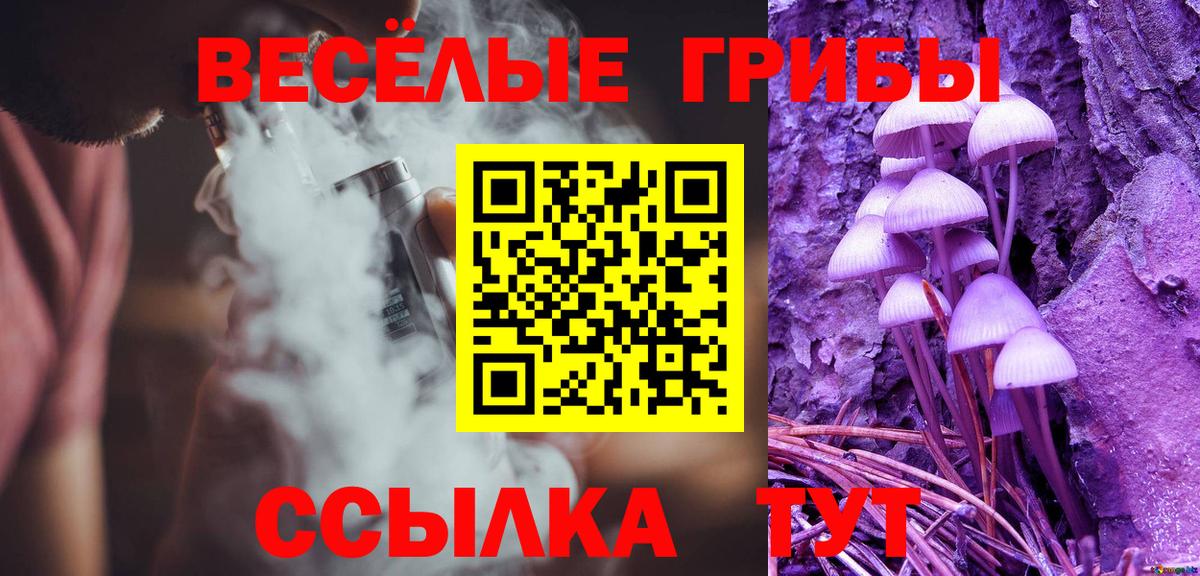 Галлюциногенные грибы Psilocybe Гуково